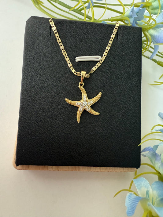 🌊 Dije de Estrella de Mar 🌟
